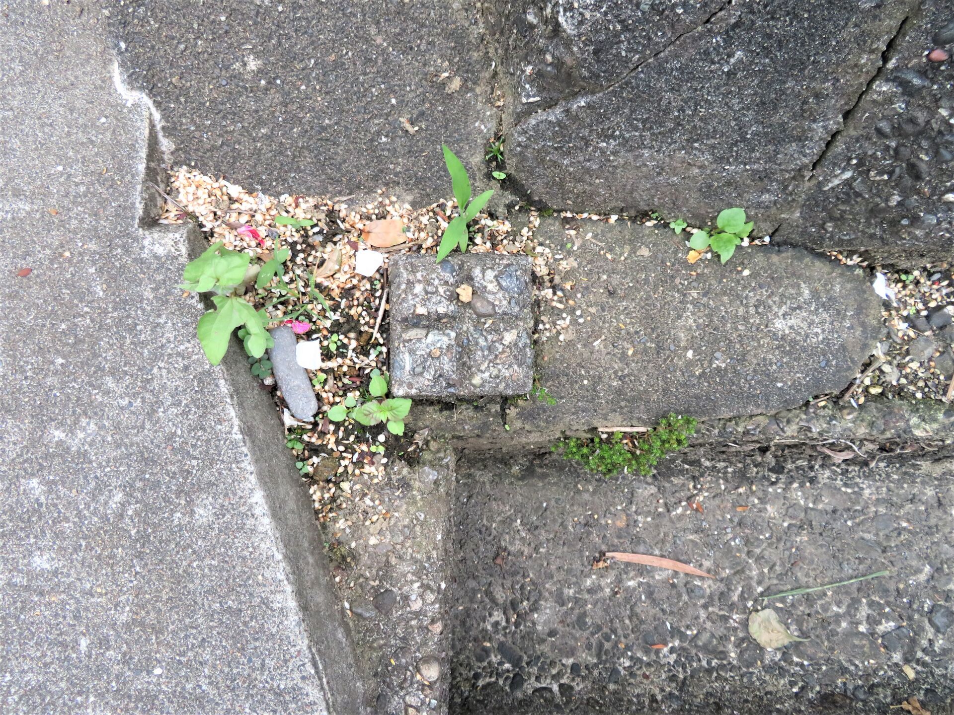 境界標